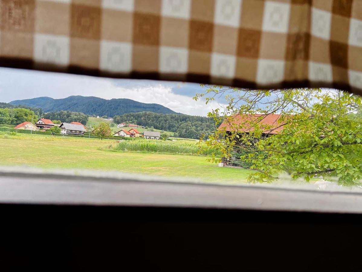 Opa Resort Smartno ob Paki Bagian luar foto