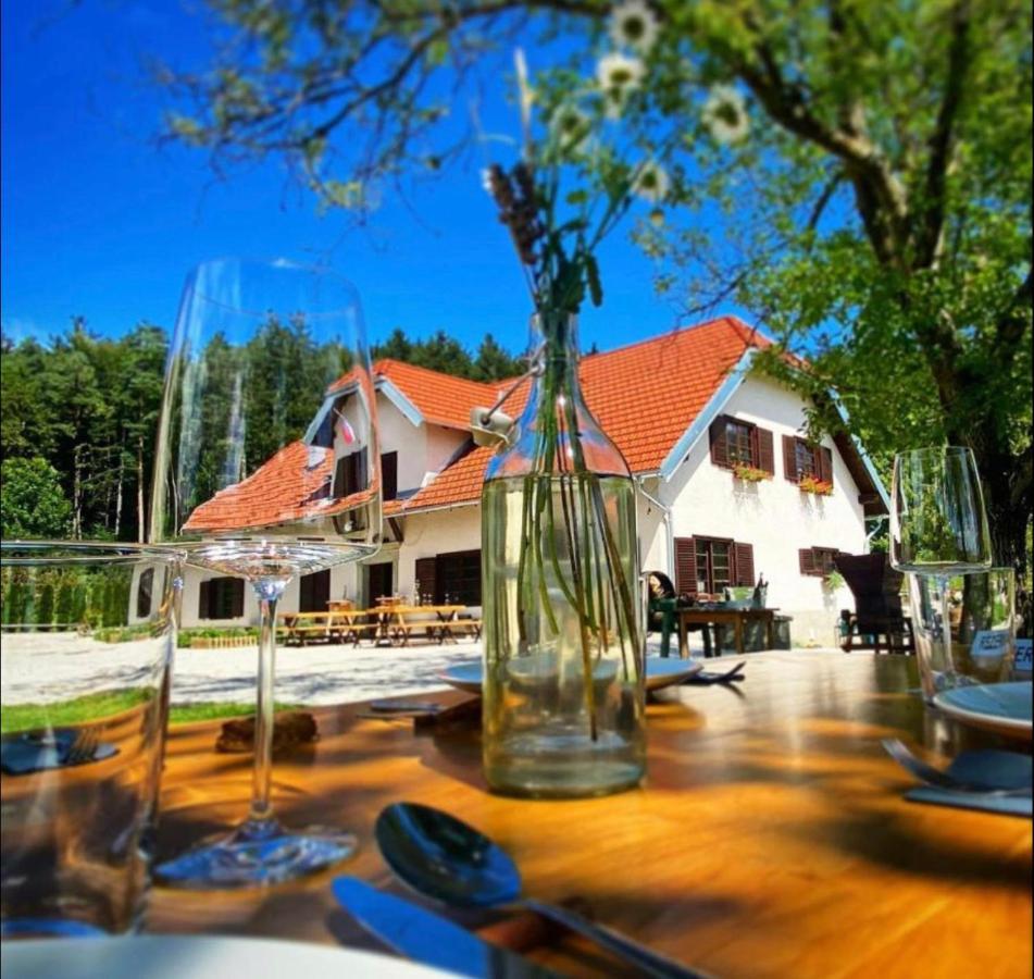 Opa Resort Smartno ob Paki Bagian luar foto
