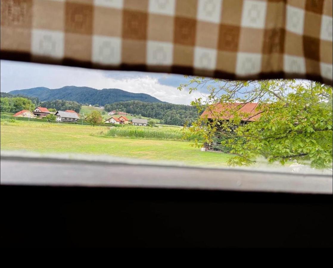 Opa Resort Smartno ob Paki Bagian luar foto